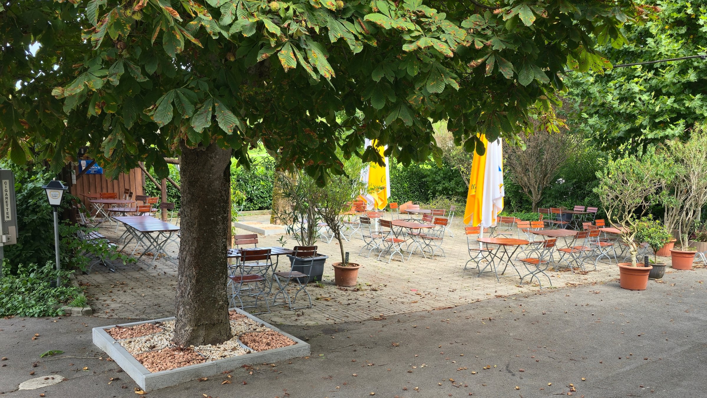 Atmosphere at i Cassonello